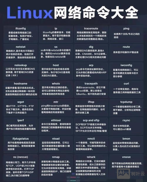 linux常用命令分类