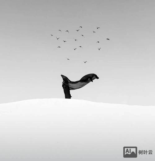 如何拍极简主义摄影作品