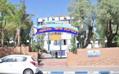 Sea Princess招聘，具体岗位和要求是什么？