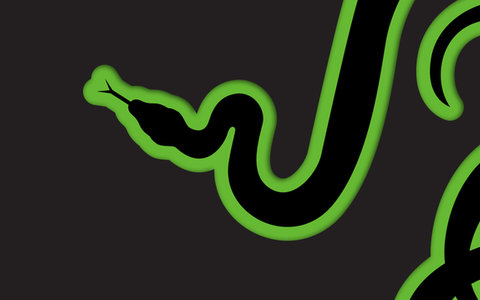 雷蛇招聘什么岗位？要求有哪些？