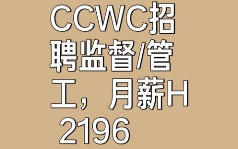 cc talk招聘，有哪些岗位在招？