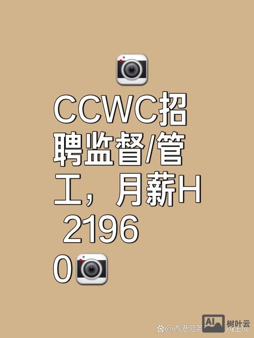 cc talk 招聘