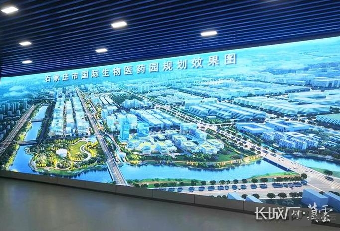 石家庄如何做引擎搜索