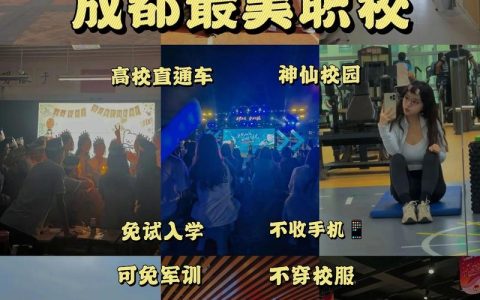 成都mooc招聘具体岗位和要求是什么？