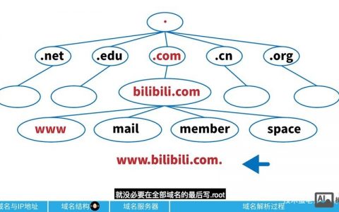 命令行如何进行域名解析？