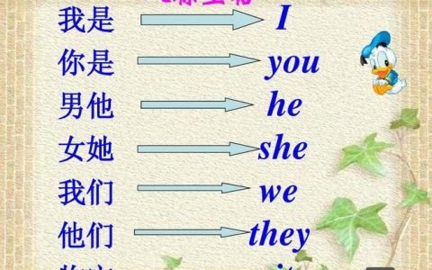 他感觉如何英语如何正确表达?