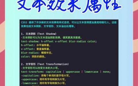 CSS如何设置文字加粗?