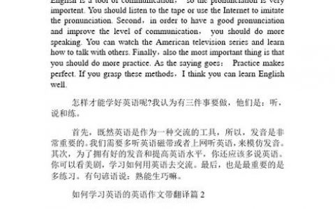 综英作文如何高效学?
