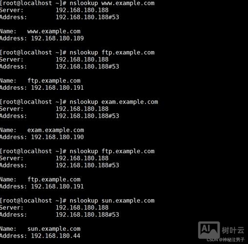 反向域名解析查询命令