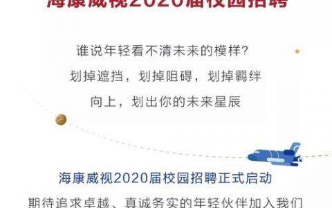 海康招聘标注，具体岗位要求是什么？