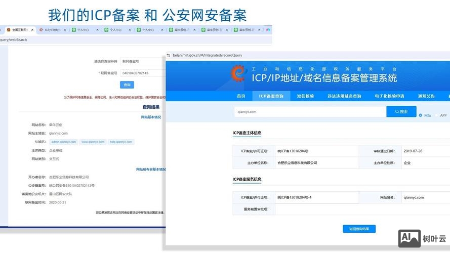 网站外链查询命令
