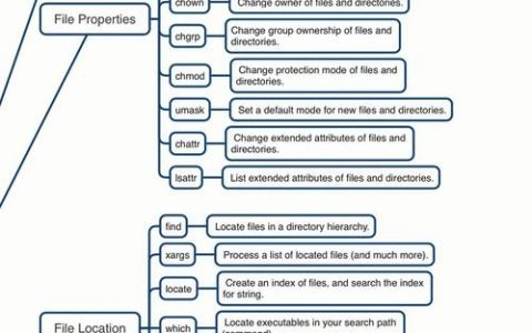 Linux命令行如何解释指令与参数？