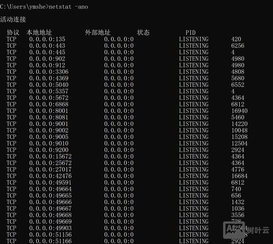 linux查看php进程命令