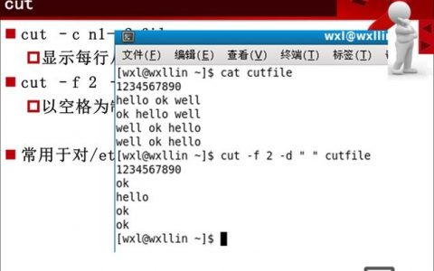Shell命令如何高效压缩文件？