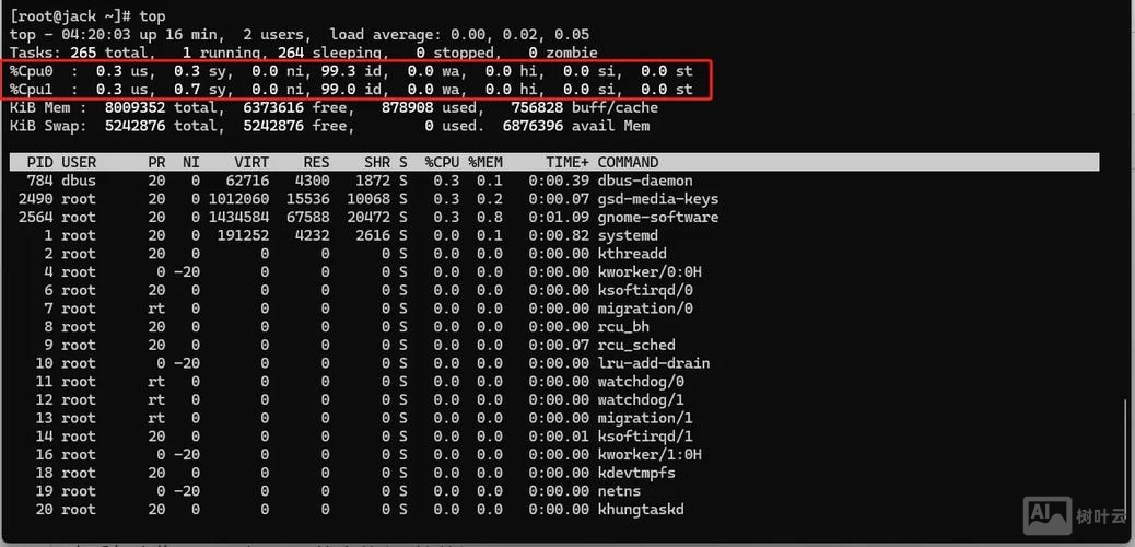 linux系统查看内存命令
