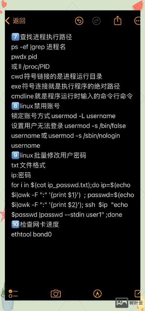 linux系统查看ip命令