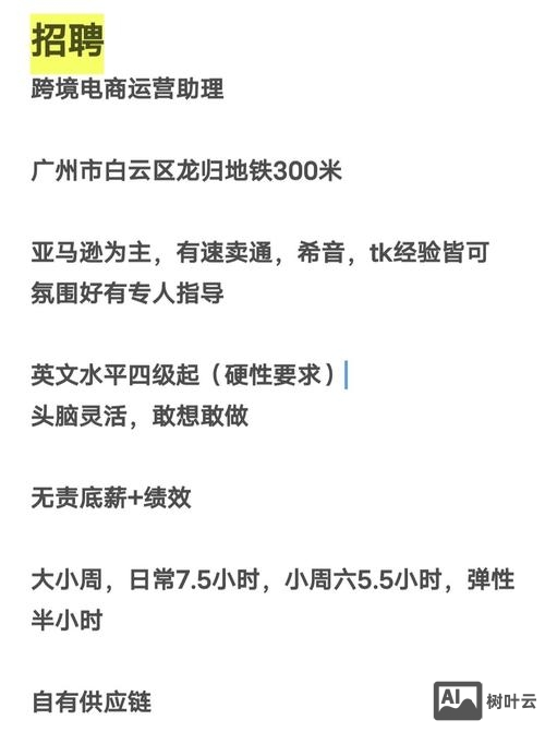 亚马逊alexa招聘