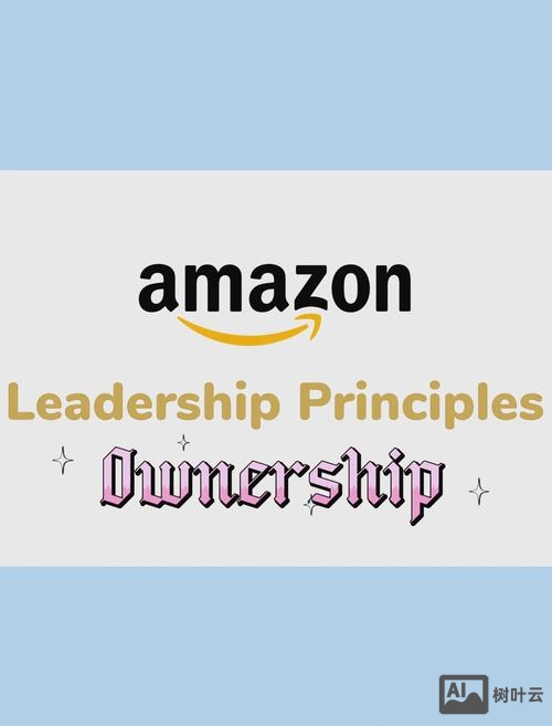 亚马逊招聘investigator