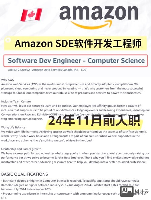 亚马逊招聘investigator