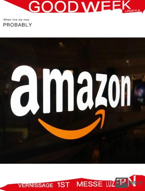 亚马逊招聘investigator