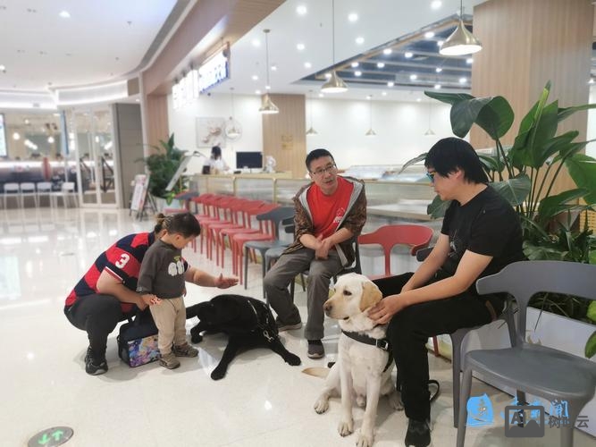 导盲犬培训招聘