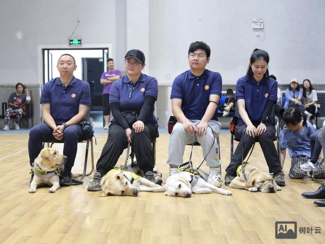 导盲犬培训招聘