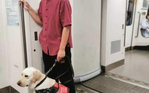 导盲犬培训招聘，需要什么条件？