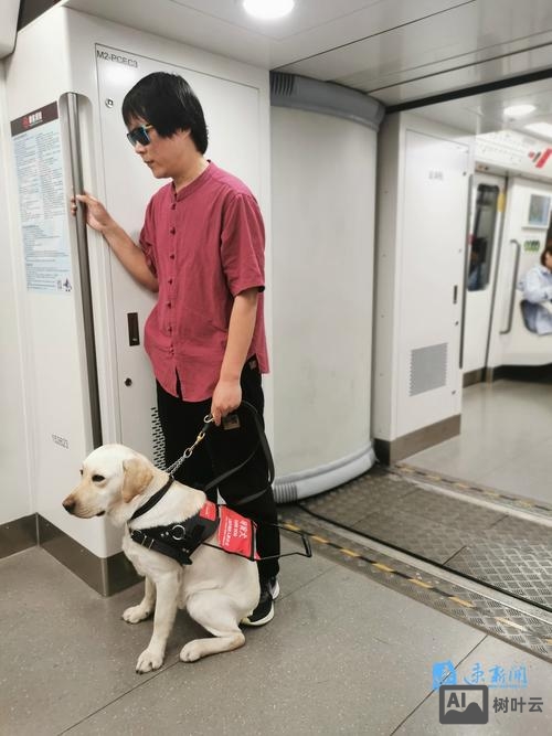 导盲犬培训招聘