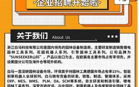 微软德国招聘，有何新要求或亮点？