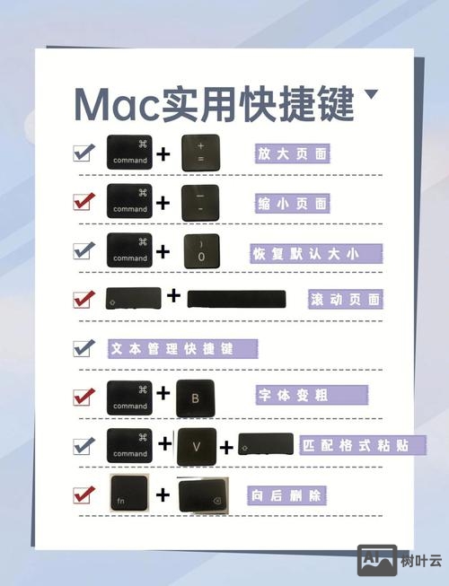 mac如何执行命令