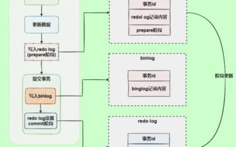 数据库回滚如何操作？