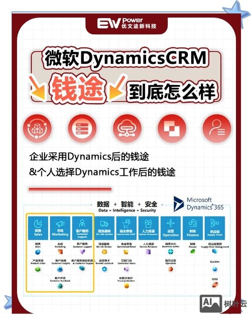 微软dynamic招聘