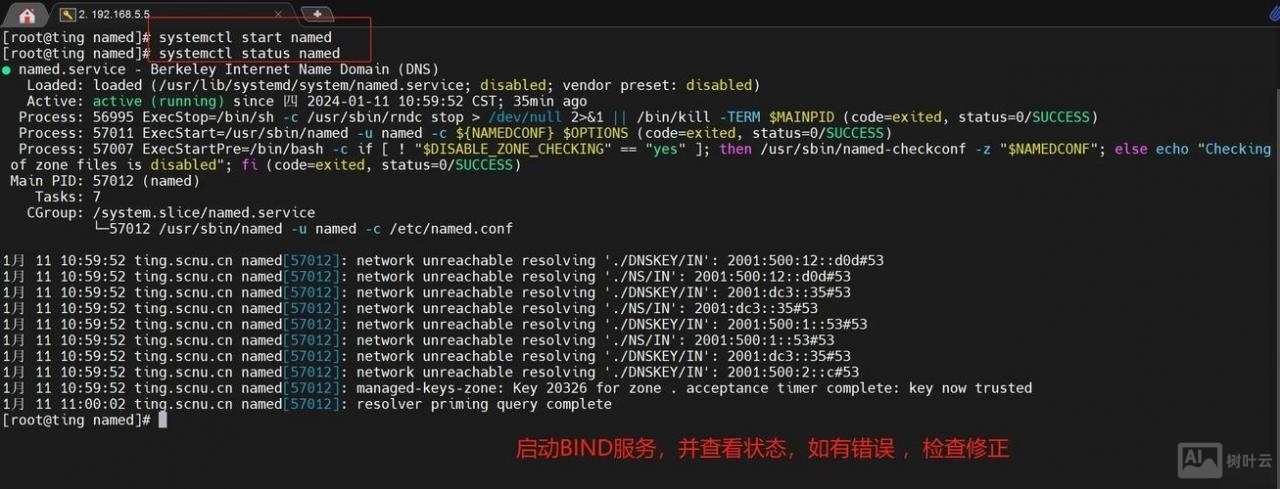 linu系统apache如何绑定域名