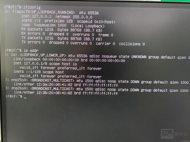 linux ls命令找不到