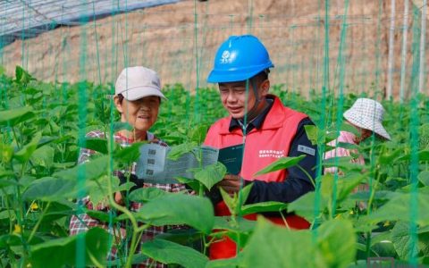 农村互联网建设，如何破解落地难题？