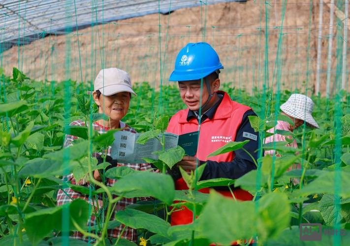 如何农村互联网建设