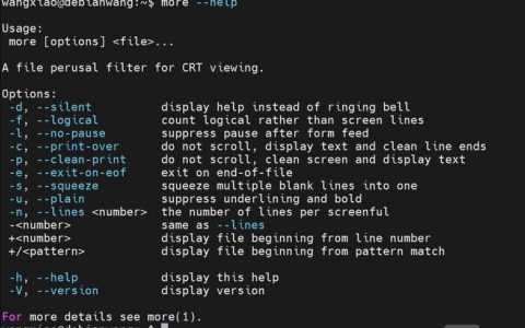 Linux中less命令的核心功能与使用技巧？