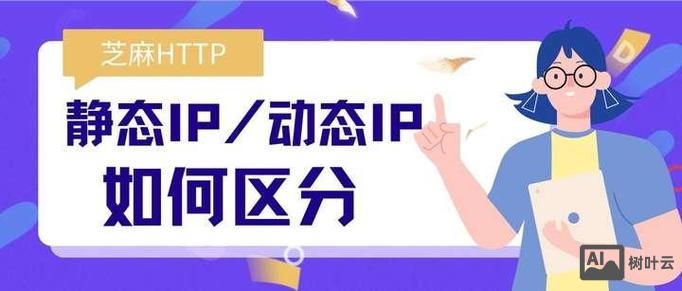 如何判断静态动态地址