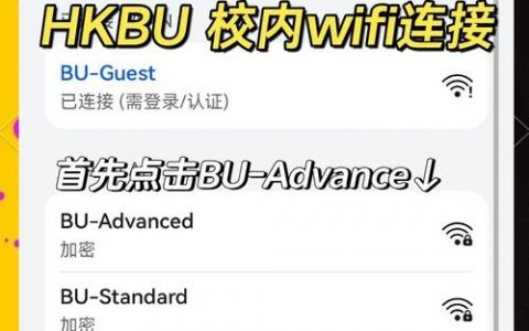 华为无线AP有哪些常用查看命令？