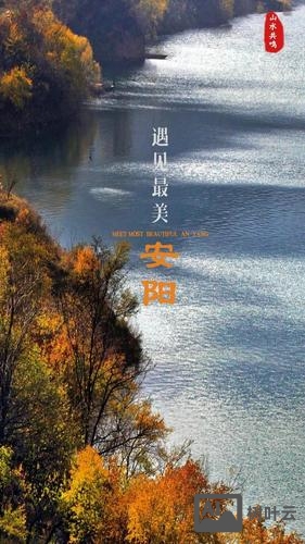 安阳手机网站如何制作