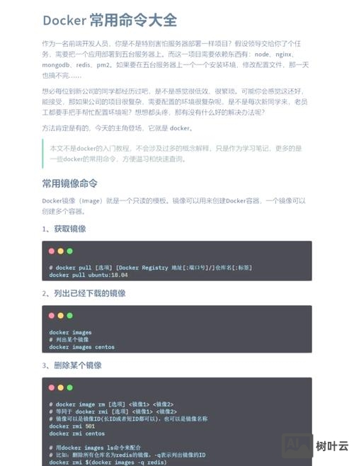 docker 容器执行命令