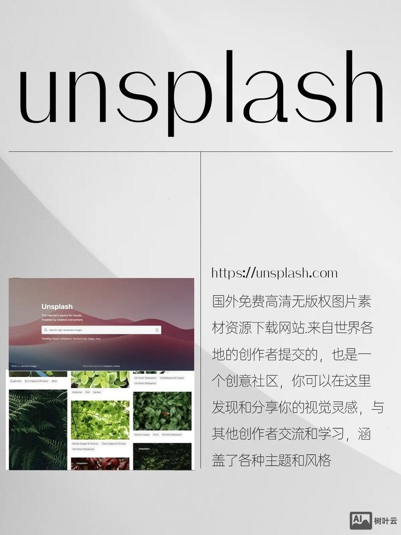 如何提高网站设计能力