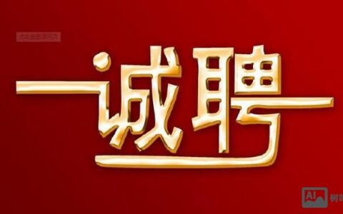 VDI人才招聘，核心需求与挑战是什么？