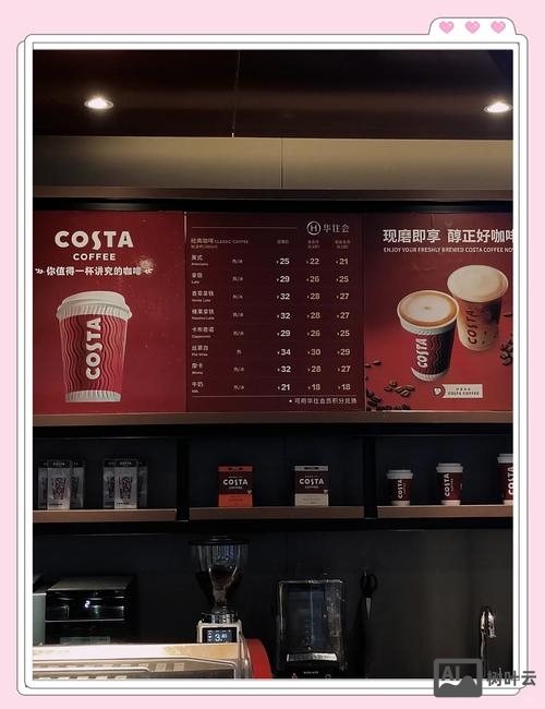 costa cruise招聘