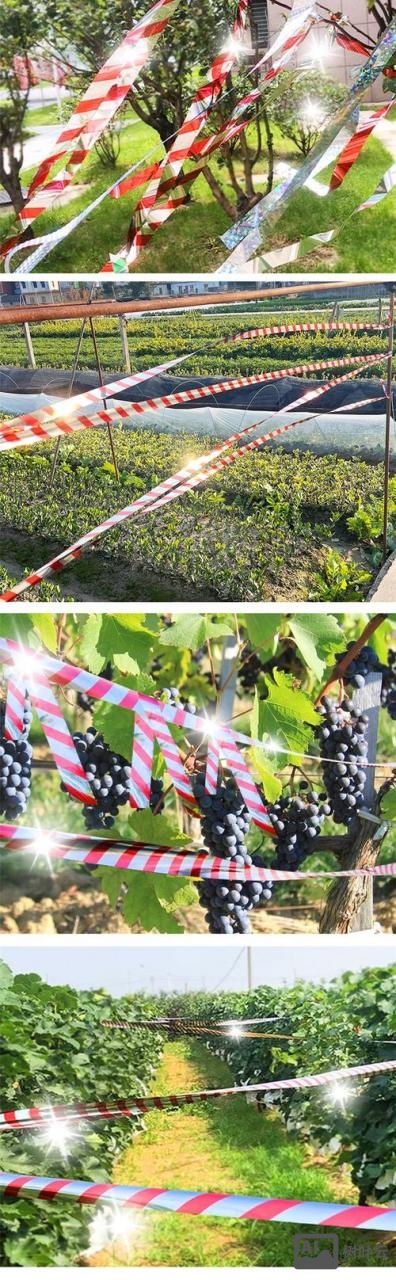 大棚驱鸟带 如何使用