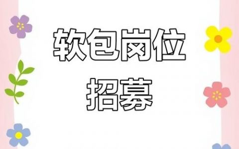 软开招聘有何新要求与机遇?