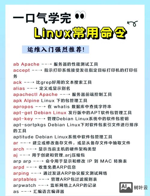 linux文件权限管理命令