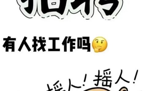 懒猫洗衣招聘，岗位要求是什么？