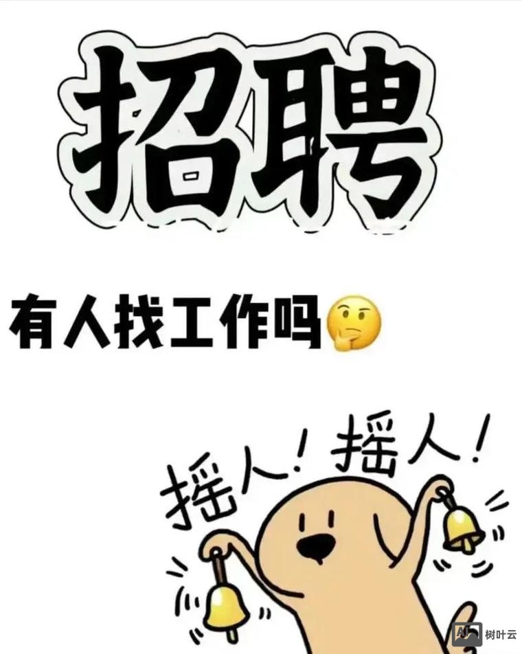 懒猫洗衣招聘