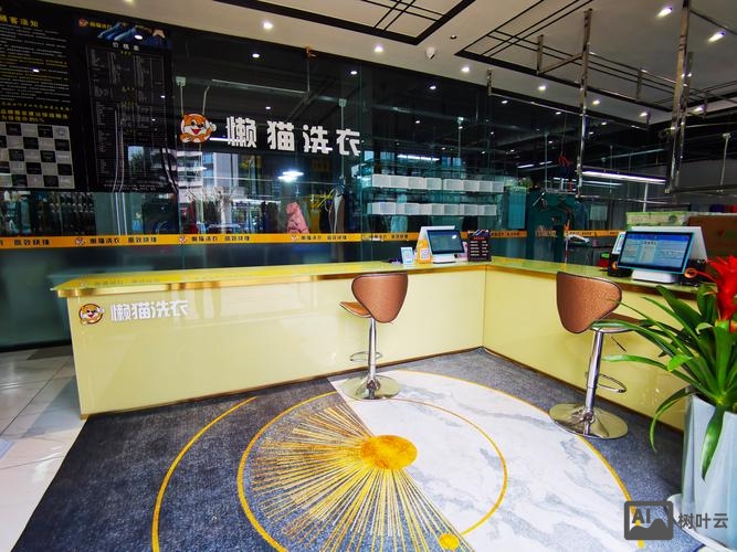 懒猫洗衣招聘